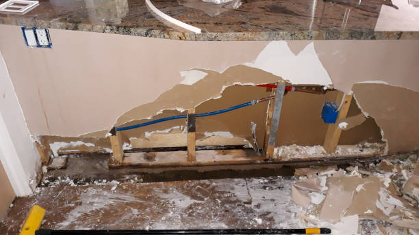 Trusted Tidmore Bend, AL Water damage restoration Experts